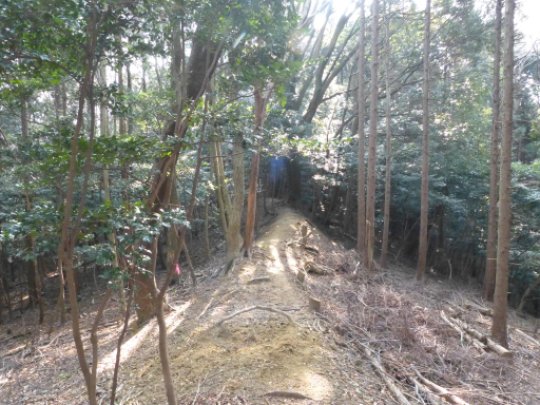 画像12